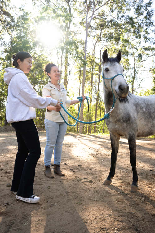 Young equine therapy student holding a white horse with her teacher near Brisbane