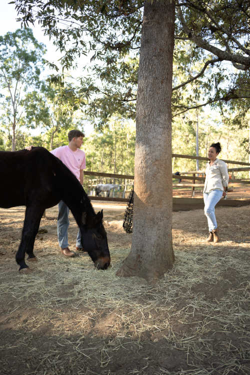 Student at equine therapy facility near Brisbane, Caspian Herd.
